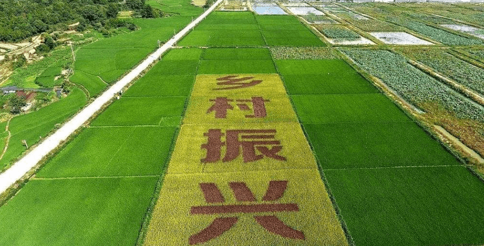 人民日?qǐng)?bào)“鄉(xiāng)村振興計(jì)劃”為何看上他？_直播_行業(yè)_農(nóng)產(chǎn)品